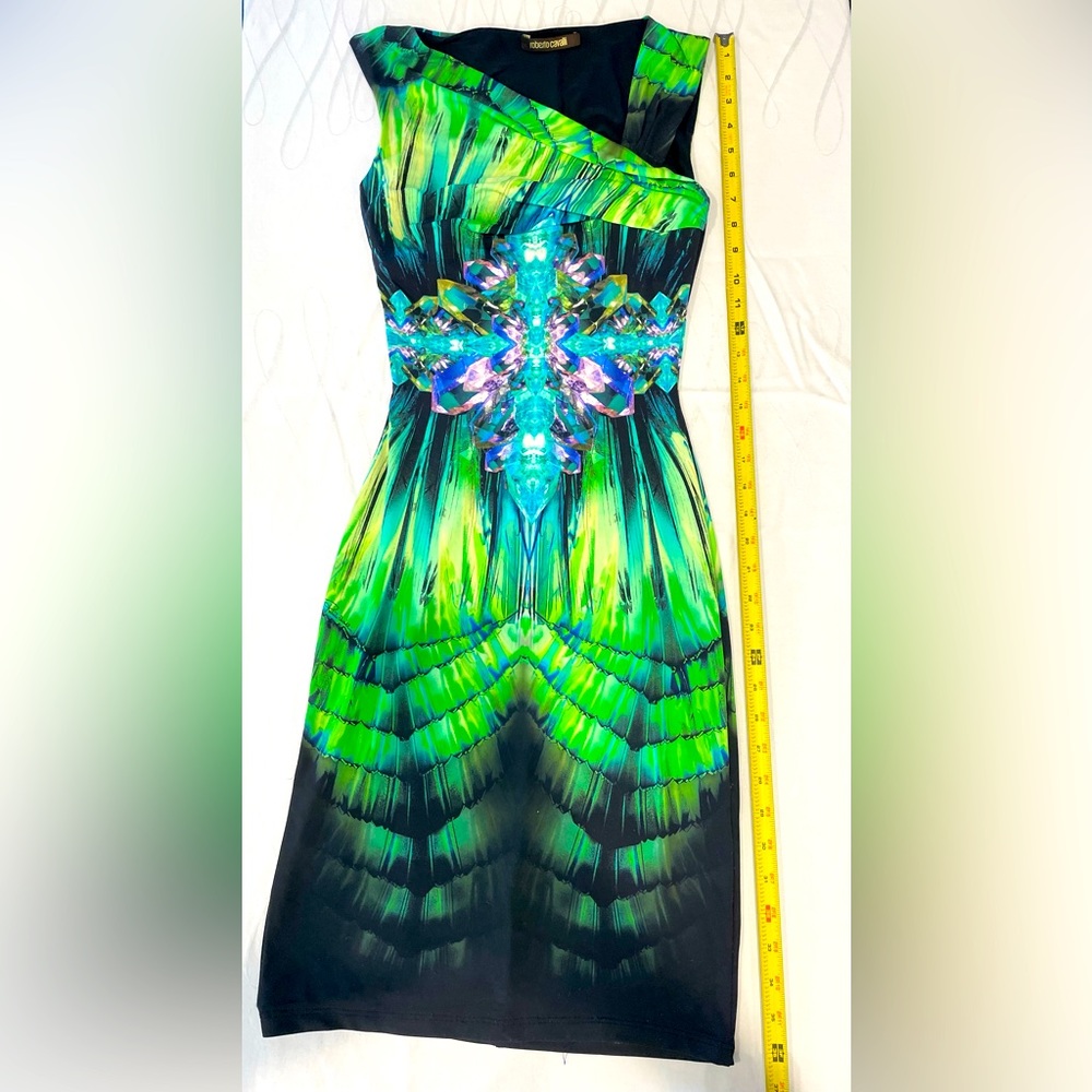 Vintage Roberto Cavalli Dress.